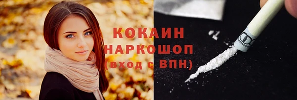 jwh Пересвет