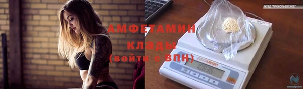 jwh Пересвет