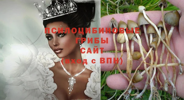 jwh Пересвет