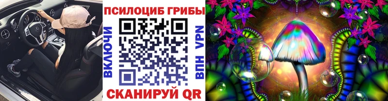 Галлюциногенные грибы ЛСД  Купить где  Чехов 